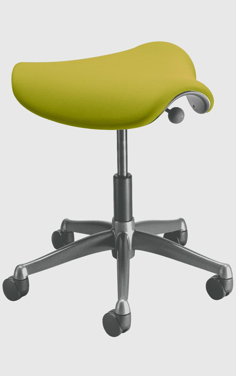 ​Saddle Pony